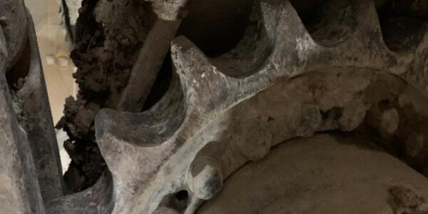 TE201 Schaeff Tunnel Excavator